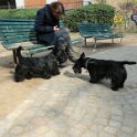 20120308 - Gwenda e QB ai giardini Ramelli_003