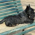 20120308 - QB ai giardini Ramelli_001