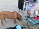 20120325 - King il Dogo_002