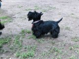 20120420 - Gwenda, Tally e King_002
