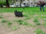 20120420 - Gwenda, Tally e King_007