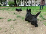 20120420 - Gwenda, Tally e King_008