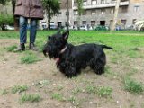 20120420 - Gwenda, Tally e King_011