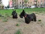 20120420 - Gwenda, Tally e King_013