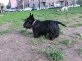 20120420 - Gwenda, Tally e King_015
