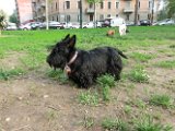 20120420 - Gwenda, Tally e King_016