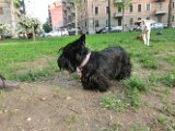 20120420 - Gwenda, Tally e King_017