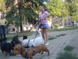 20120801 - Timo e padroncina (Elena Botta)_002