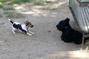20120915 - QB non vuole giocare_001