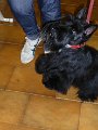 20120920 - Da Moreno_003
