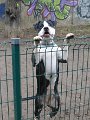 20130115 - Margot_002