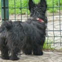 20130421 - Giardinetti Ramelli_002