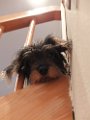 20130524 - Olga and friends_007