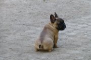 20130613 - Arturo_03