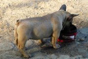 20130613 - Arturo_06