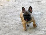 20130613 - Arturo_07