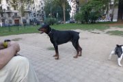 20130921 - Cleo_006