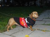 20131010 - Dory_002