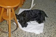 20131123 - Visita di QB_002