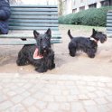 20131218 - QB ai giardinetti Ramelli_001