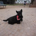 20131218 - QB ai giardinetti Ramelli_008