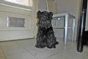 20141022 - Gwenda QB e Adeline insieme a casa_006
