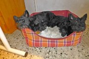 20141028 - Vita in famiglia_001