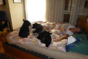 20141119 - Risveglio con Scottish family_002