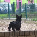 20141122 - Giardinetti Ramelli_003