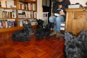20141218 - Visita di Archibald e Reginald_003