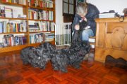 20141218 - Visita di Archibald e Reginald_004
