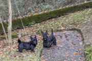 20141201 - QB Gwenda e Adeline a Oggiono - by Misa_028