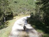 20150829 -Cortina_028