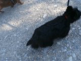 20150830 -Cortina_033