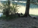 20150830 -Cortina_037