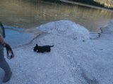 20150830 -Cortina_039