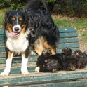 20150103 - Giocando con Drago a i giardinetti_022