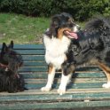 20150103 - Giocando con Drago a i giardinetti_025