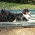 20150103 - Giocando con Drago a i giardinetti_027