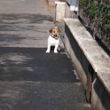 20150108 - Con gli amici ai Giardini Ramelli_008