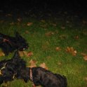 20150108 - Con gli amici ai Giardini Ramelli_011