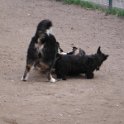 20150110 - Con gli amici ai Giardini Ramelli_017