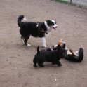 20150110 - Con gli amici ai Giardini Ramelli_020