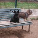 20150115 - Con gli amici ai Giardini Ramelli_022