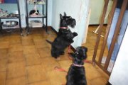 20150306 - Da Moreno_001