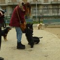 20150309 - Con gli amici ai Giardini Ramelli_001