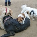 20150311 - Con gli amici ai Giardini Ramelli_005