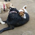 20150311 - Con gli amici ai Giardini Ramelli_006