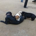 20150311 - Con gli amici ai Giardini Ramelli_011