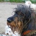 20150328 - Con gli amici ai Giardini Ramelli_021